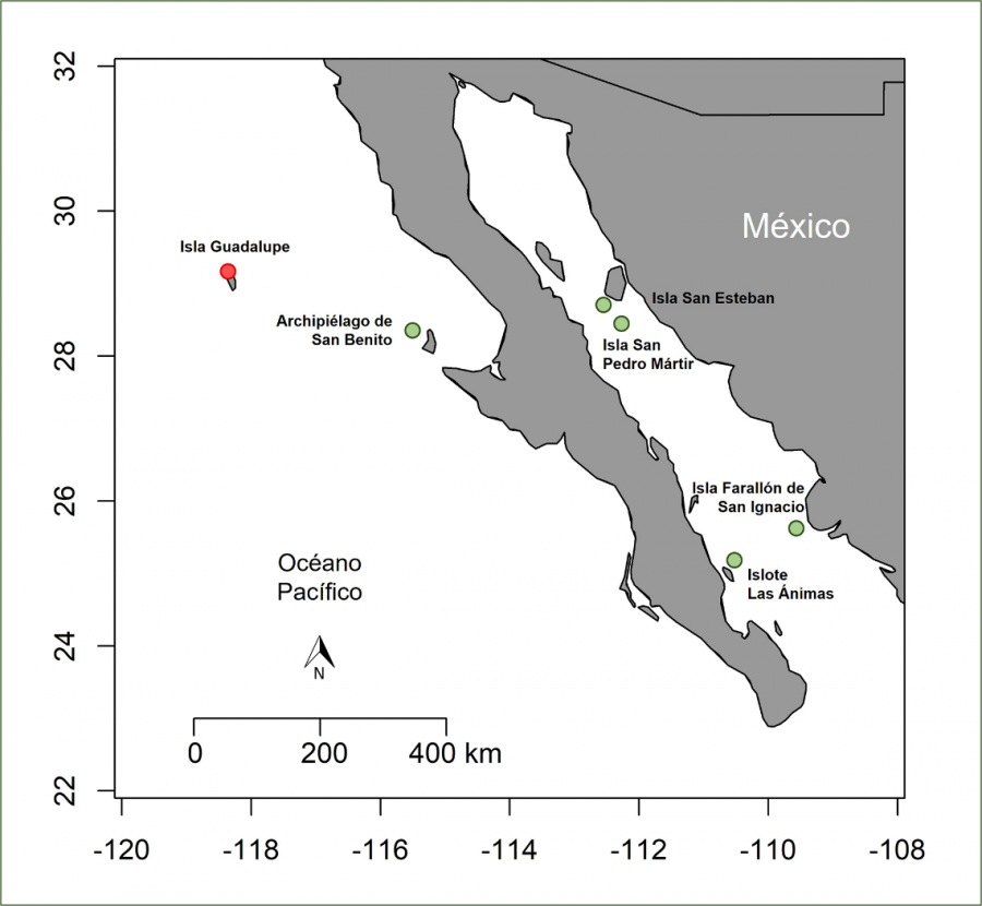 Figura 2. Colonias de reproducción y descanso de lobo fino de Guadalupe en México. Colonia reproductiva en isla Guadalupe (punto rojo). Colonias de descanso (puntos verdes).