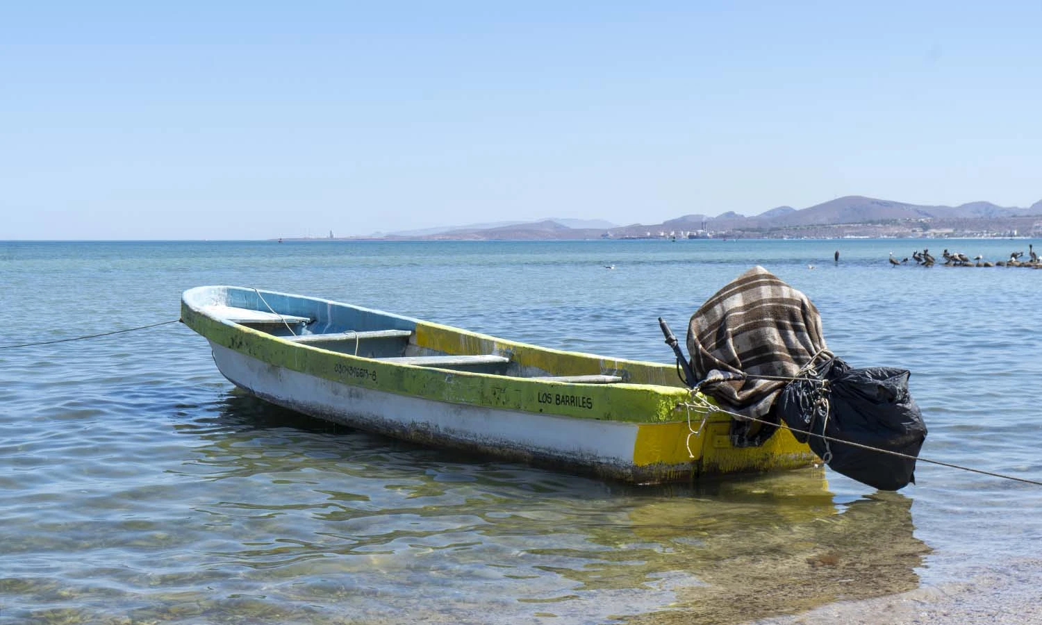 Gel Star': Transformando la pesca tradicional con tecnología sostenible en  Baja California Sur - Resonancia Cientifica