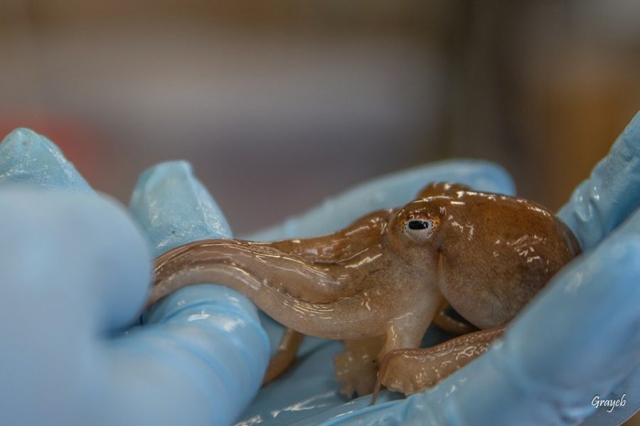 No hay ninguna descripción de la foto disponible.