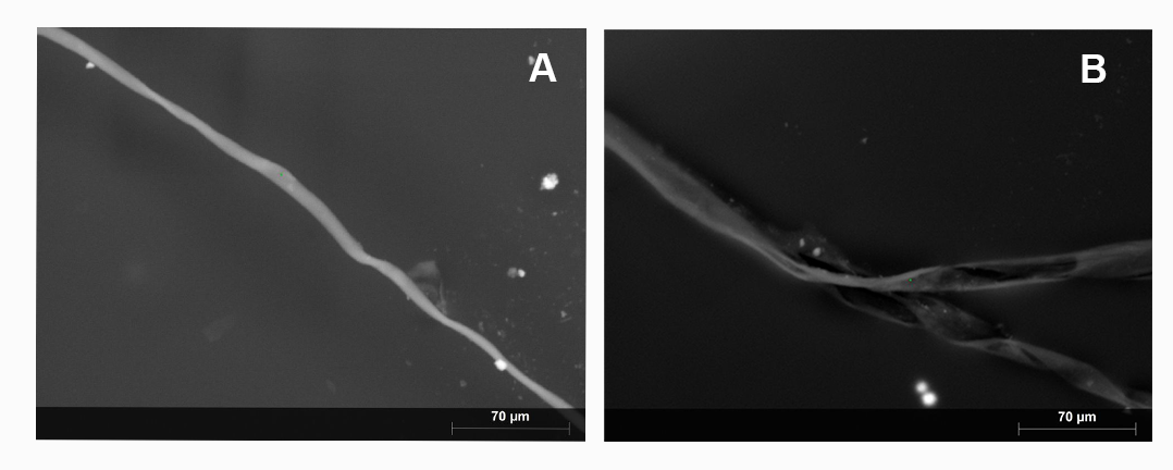 A close-up of a microscope

Description automatically generated