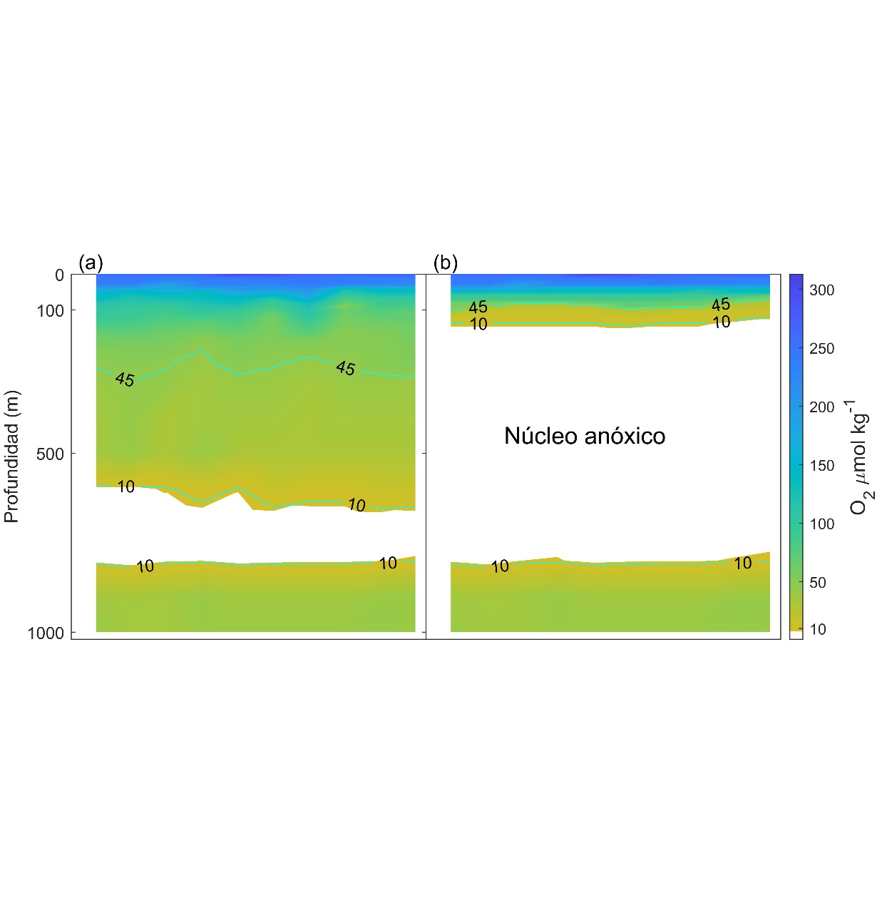 Diagrama

El contenido generado por IA puede ser incorrecto.